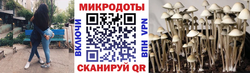 Псилоцибиновые грибы MAGIC MUSHROOMS  Старый Крым 